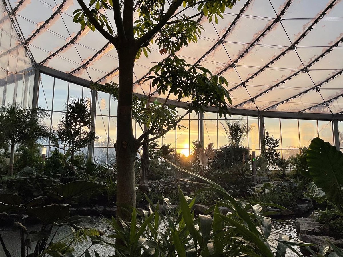 You'll never want to leave The Leaf, our new world-class attraction - Sunrise in the Tropical Biome. (Mike Green/Tourism Winnipeg)